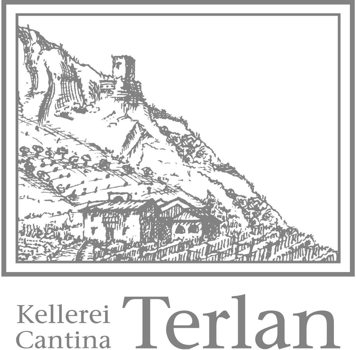Die Kellerei Terlan in Südtirol