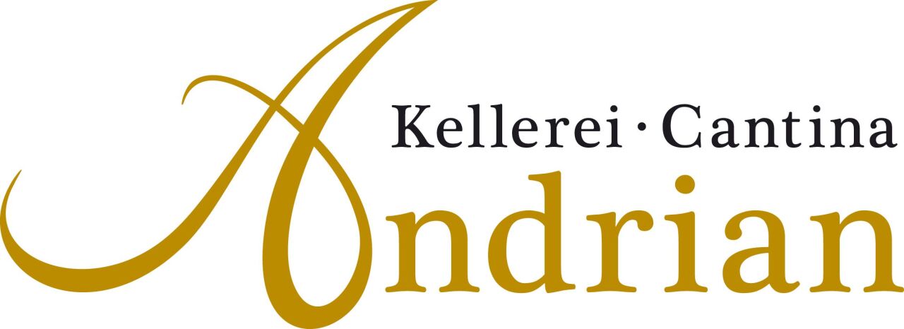 Die Kellerei Andrian in Südtirol